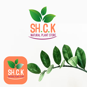 Graphic Design by eng.shaza for this project | Design: #30429923