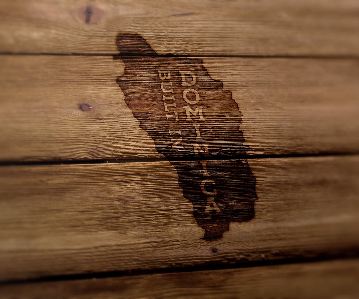 Logo Design by entz for this project | Design #30539945