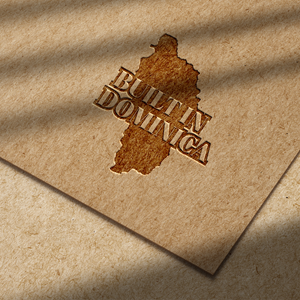 Design de Logo par Felipe Moura pour ce projet | Design : #30558683