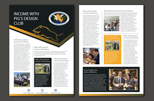 Flyer Design by Ayesha graphic