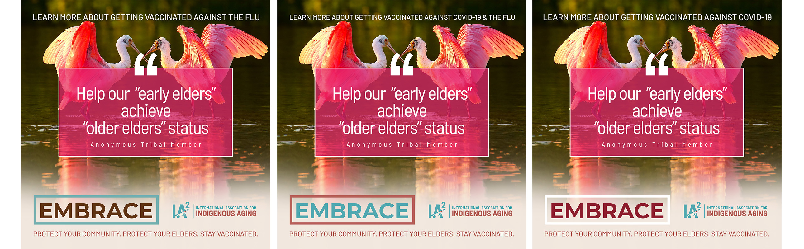 Graphic Design by lnb... for International Association for Indigenous Aging | Design #30508838