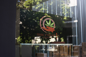 Logo Design by ck24659