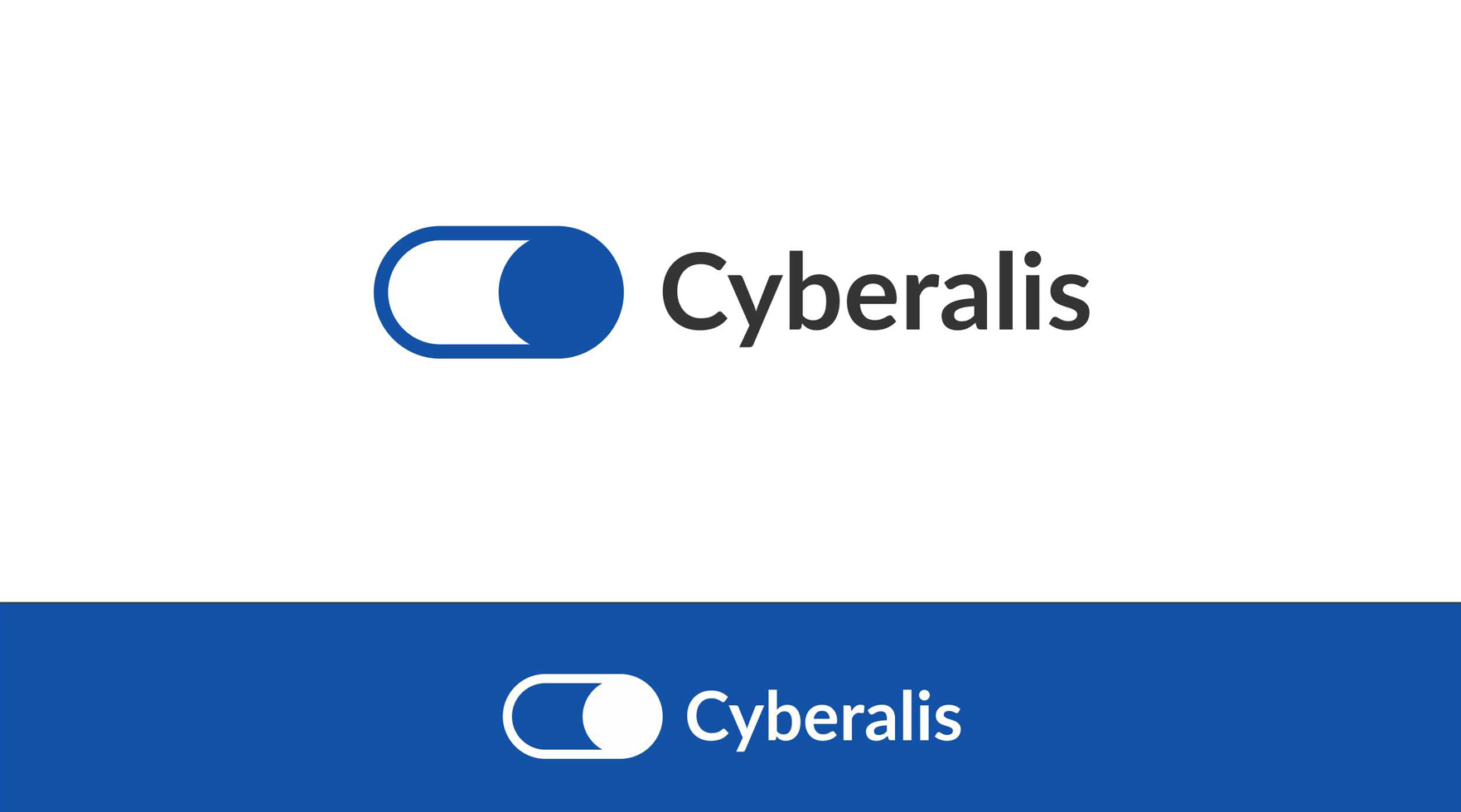 Logo-Design von Tamgraphic für dieses Projekt | Design #30455899