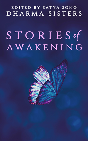 Book Cover Design by AnninWonderland for this project | Design: #30441746