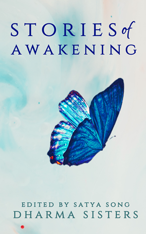 Book Cover Design by AnninWonderland for this project | Design: #30441762