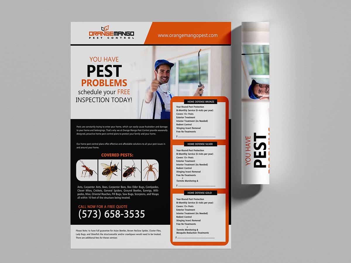 Diseño de Flyer por n214008 para este proyecto | Diseño #30474730