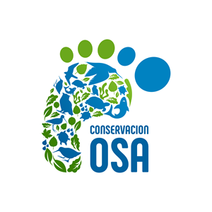 Logo-Design von Unay für dieses Projekt | Design: #30504211