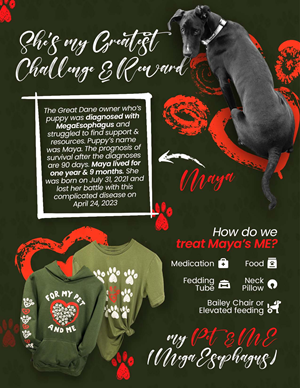 Poster Design by Graphic Guy for this project | Design: #30466712