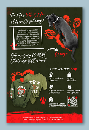 Design de Poster par Graphic Guy