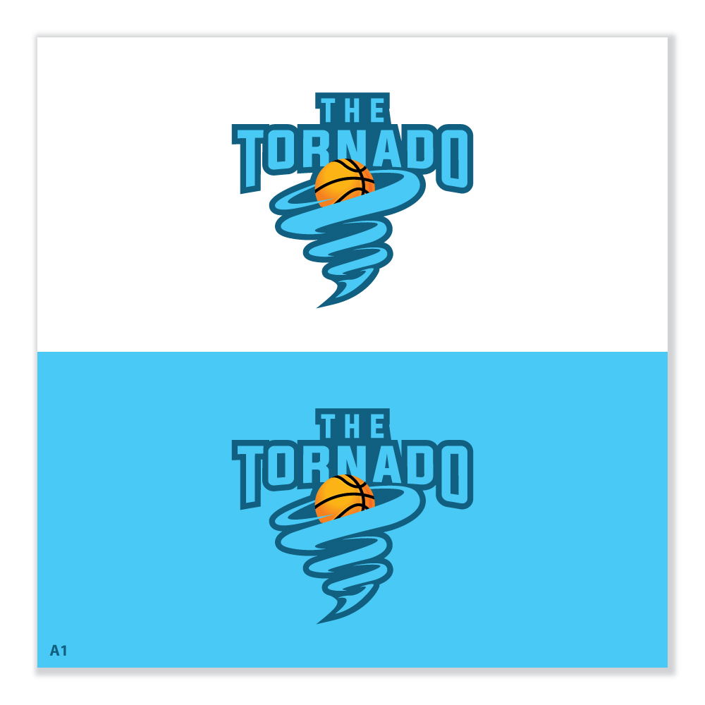 Diseño de Logo por Sujit Banerjee para HoopsKing.com Instructional Basketball Company | Diseño #30466065