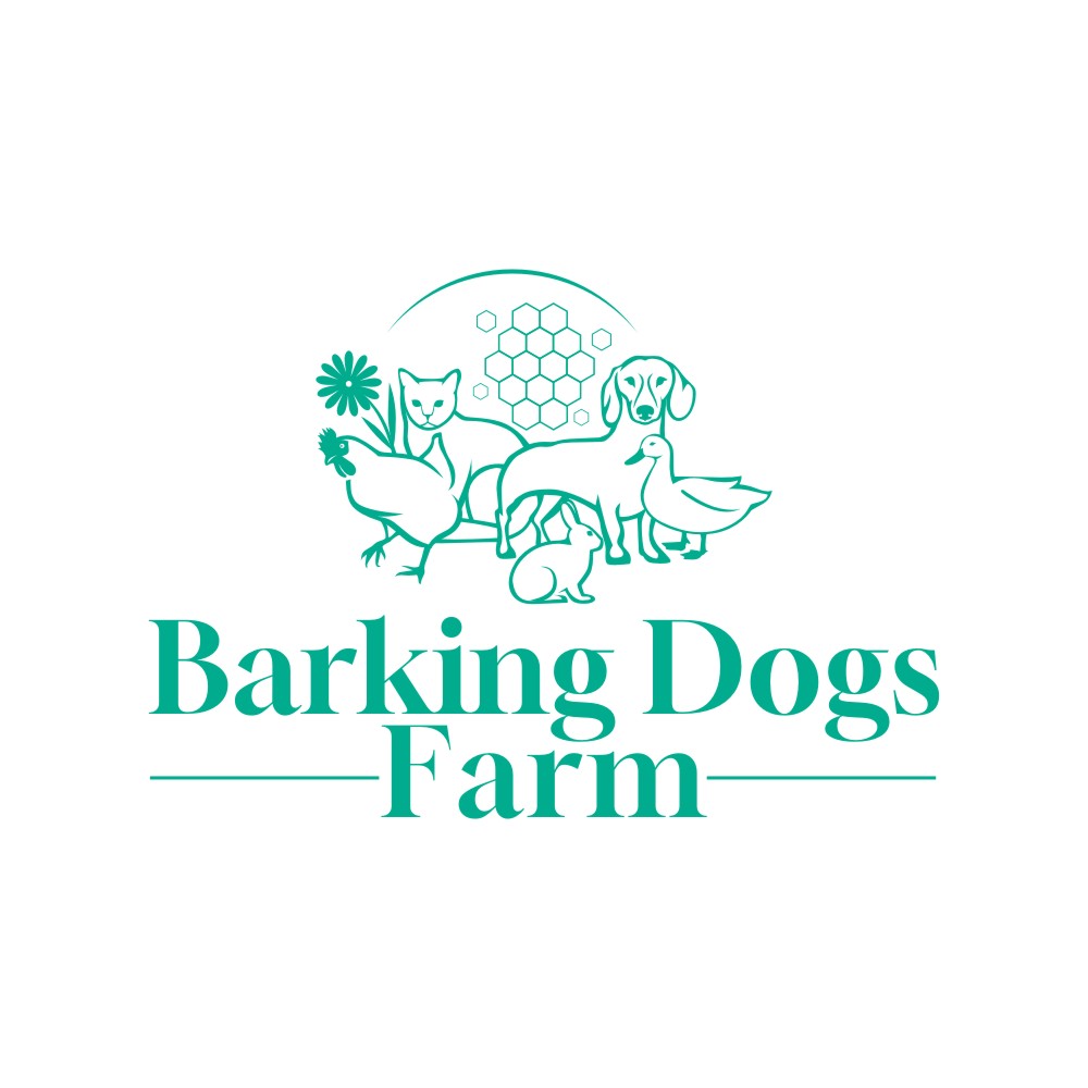 Logo Design by rgb01 for this project | Design #30475831