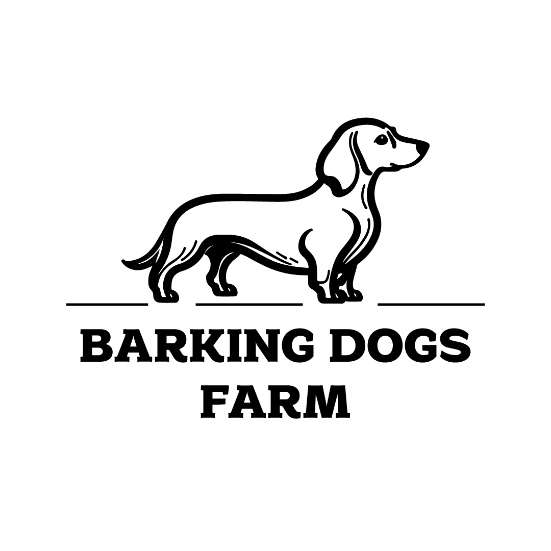 Logo Design by Kore Branding for this project | Design #30467111