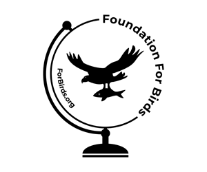 Logo Design by OllieA