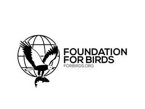 Logo-Design von Owltive für dieses Projekt | Design: #30474930