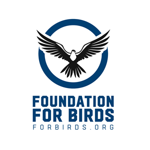 Logo-Design von Kore Branding für dieses Projekt | Design: #30509498