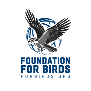 Logo-Design von Kore Branding für dieses Projekt | Design: #30509499