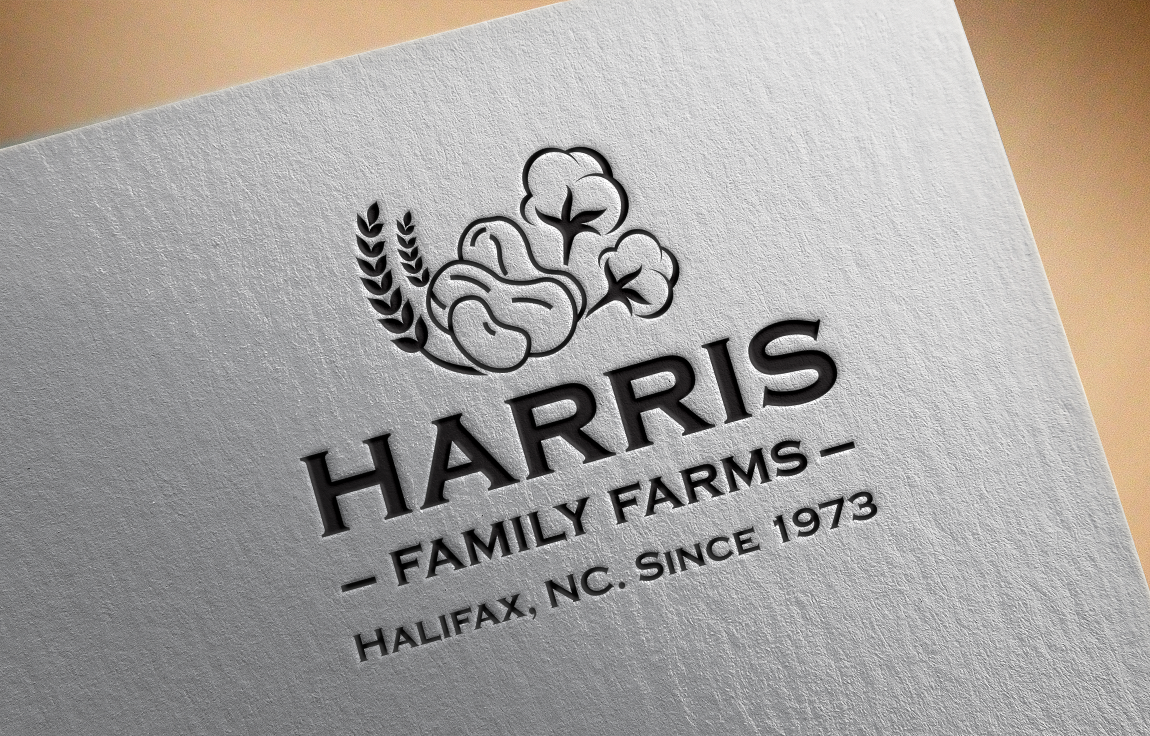 Logo-Design von Graphixpointt für dieses Projekt | Design #30479528