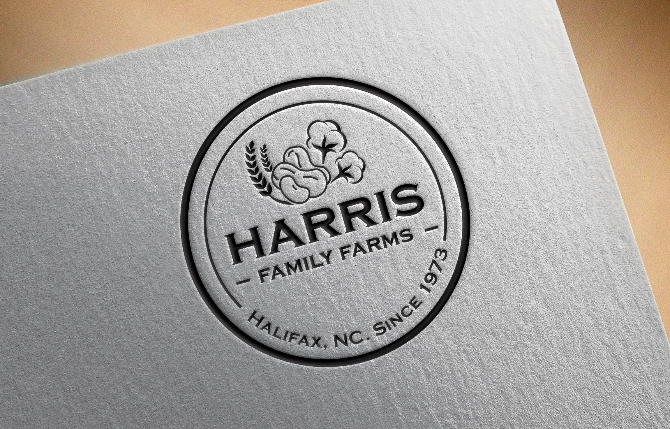 Logo Design by Graphixpointt for this project | Design #30479529