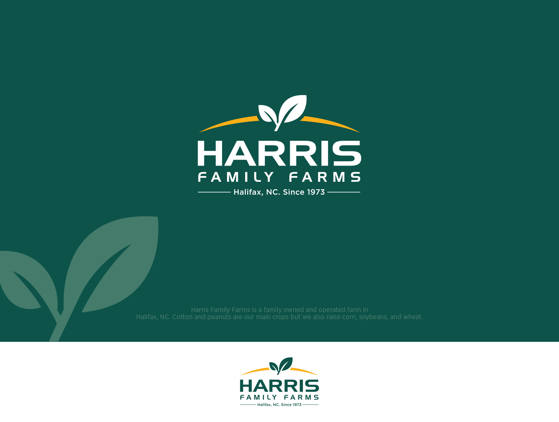 Logo Design by creative.visuals for this project | Design #30505791