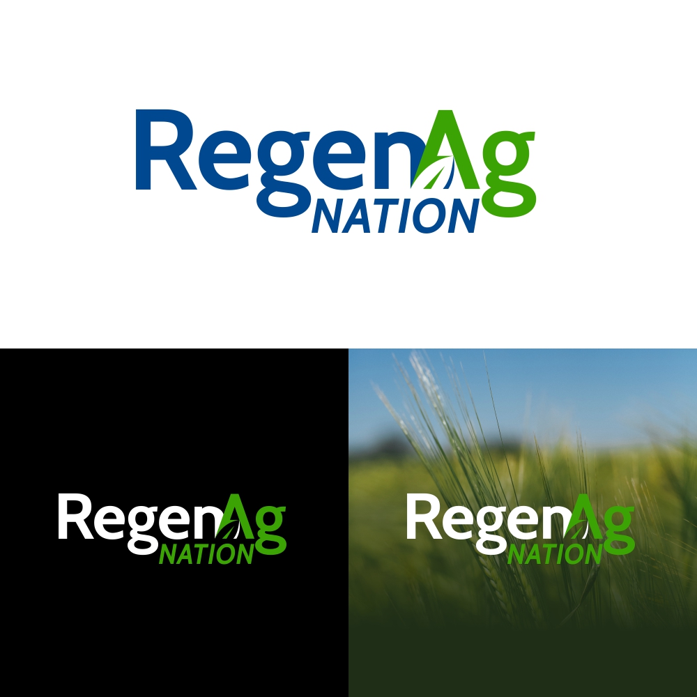 Logo-Design von w15 für dieses Projekt | Design #30486781