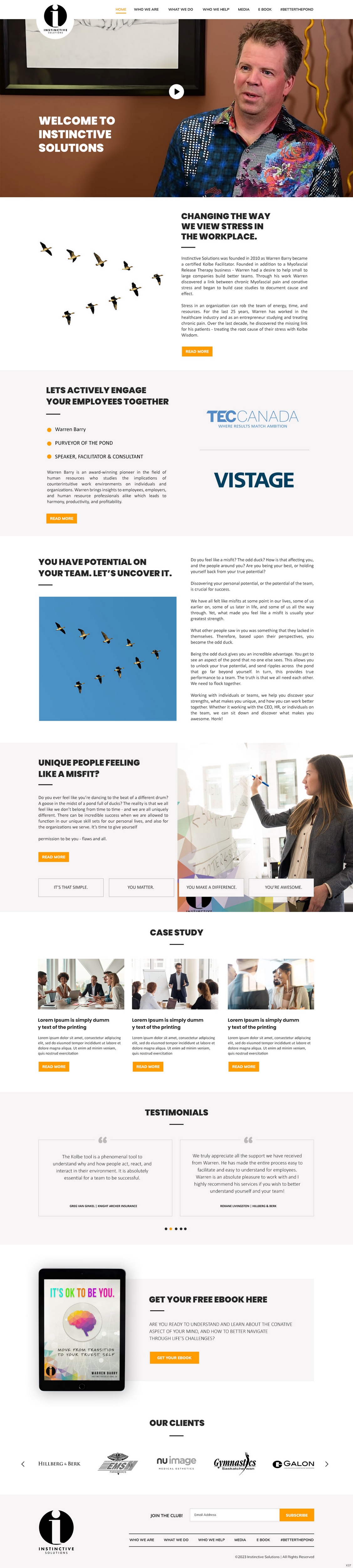 Web Design by pb for Instinctive Solutions Inc. | Design #30516263