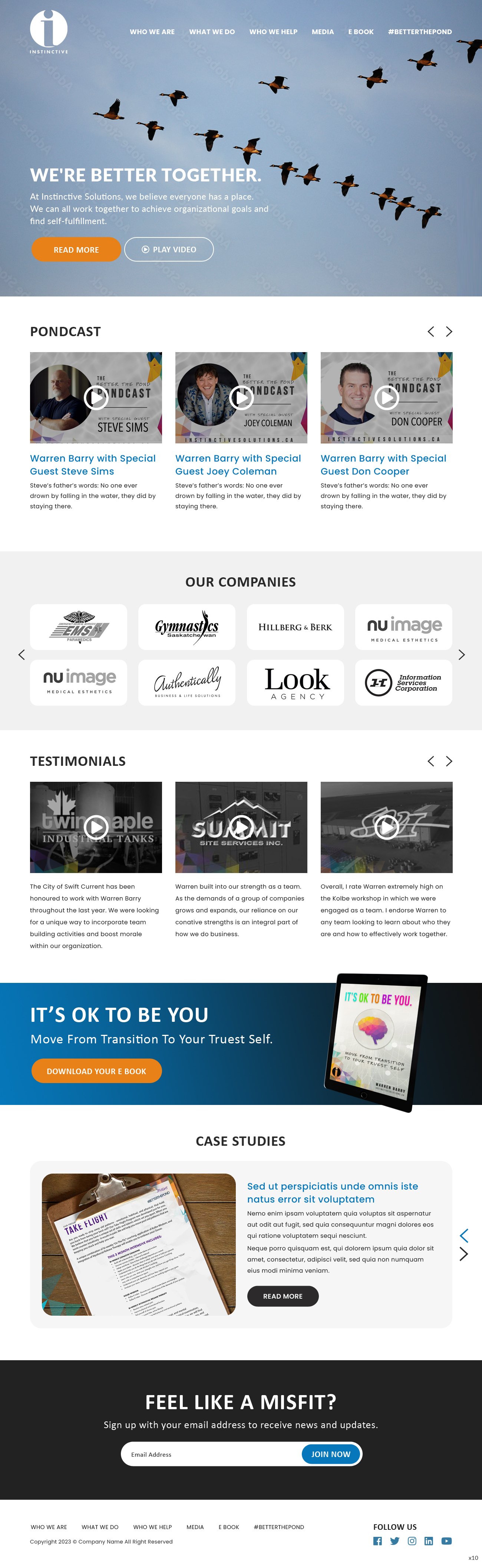 Web Design by pb for Instinctive Solutions Inc. | Design #30527039