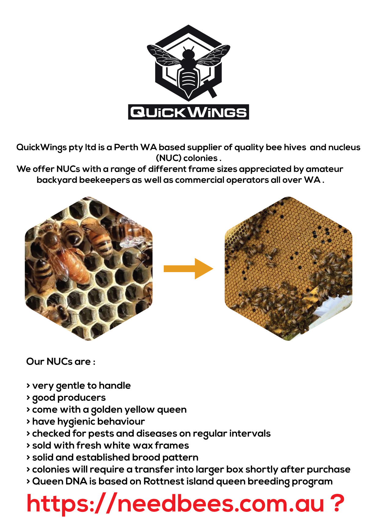 Flyer Design by MHP Graphics House for this project | Design #30571465
