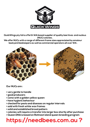 Flyer Design by MHP Graphics House