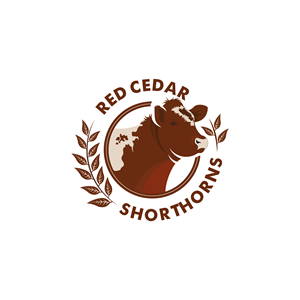 Logo Design by Nukhta Design