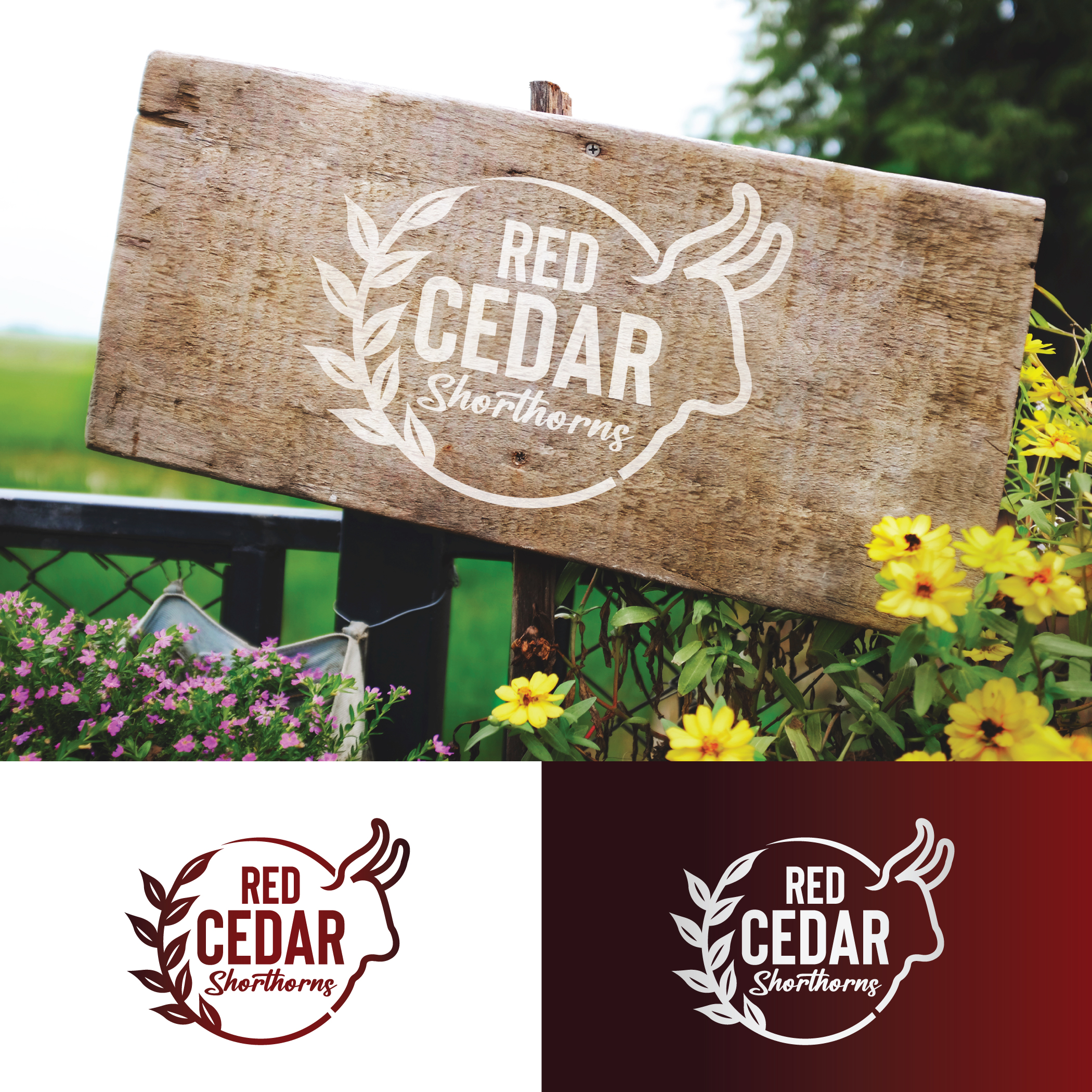 Logo-Design von StromDesignHub für dieses Projekt | Design #30496140