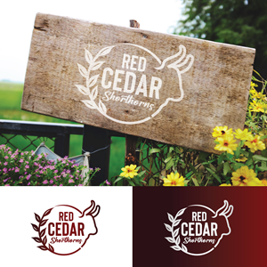 Diseño de Logo por StromDesignHub para este proyecto | Diseño: #30496140