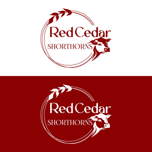 Diseño de Logo por creative.bugs para este proyecto | Diseño: #30494108