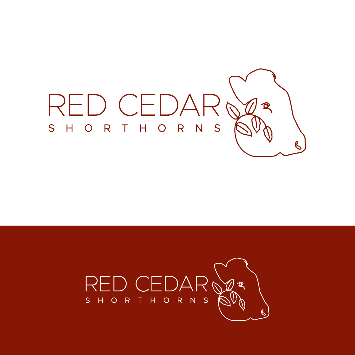 Logo-Design von fly  design für dieses Projekt | Design #30494027