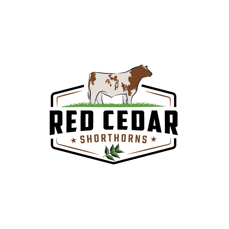 Logo Design by RAMDHONU for this project | Design #30494317