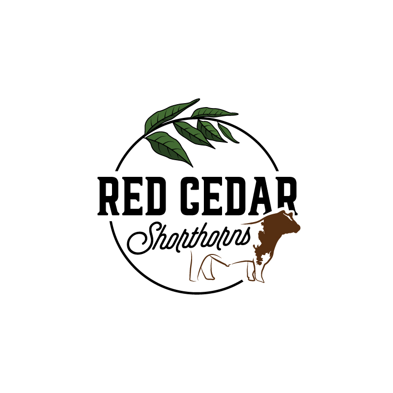 Diseño de Logo por RAMDHONU para este proyecto | Diseño #30494319