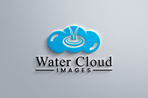 Logo Design by loveqis for this project | Design: #30511327