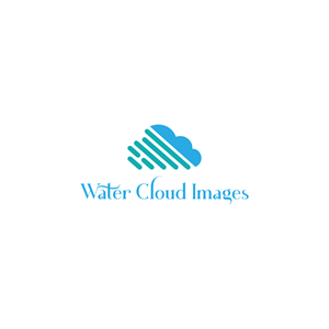 Logo Design by LogoBids for this project | Design: #30496514
