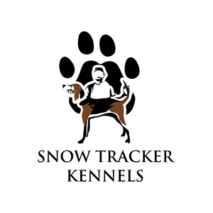 Logo Design by hernawanrere for Glacier Values LLC | Design: #30503597