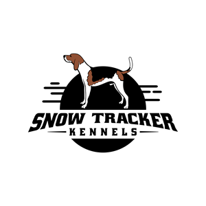 Logo Design by luckdesign for Glacier Values LLC | Design: #30490659