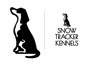 Logo Design by Brandon Joseph for Glacier Values LLC | Design: #30530417