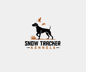 Logo Design by Allen Designs for Glacier Values LLC | Design: #30522176
