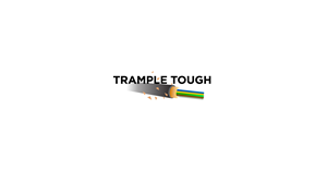 Logo Design by Adeel Rahman