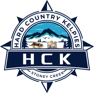 Diseño de Logo por TDAC para este proyecto | Diseño: #30505665