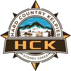 Diseño de Logo por TDAC para este proyecto | Diseño: #30505797