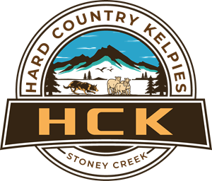 Diseño de Logo por TDAC para este proyecto | Diseño: #30507424