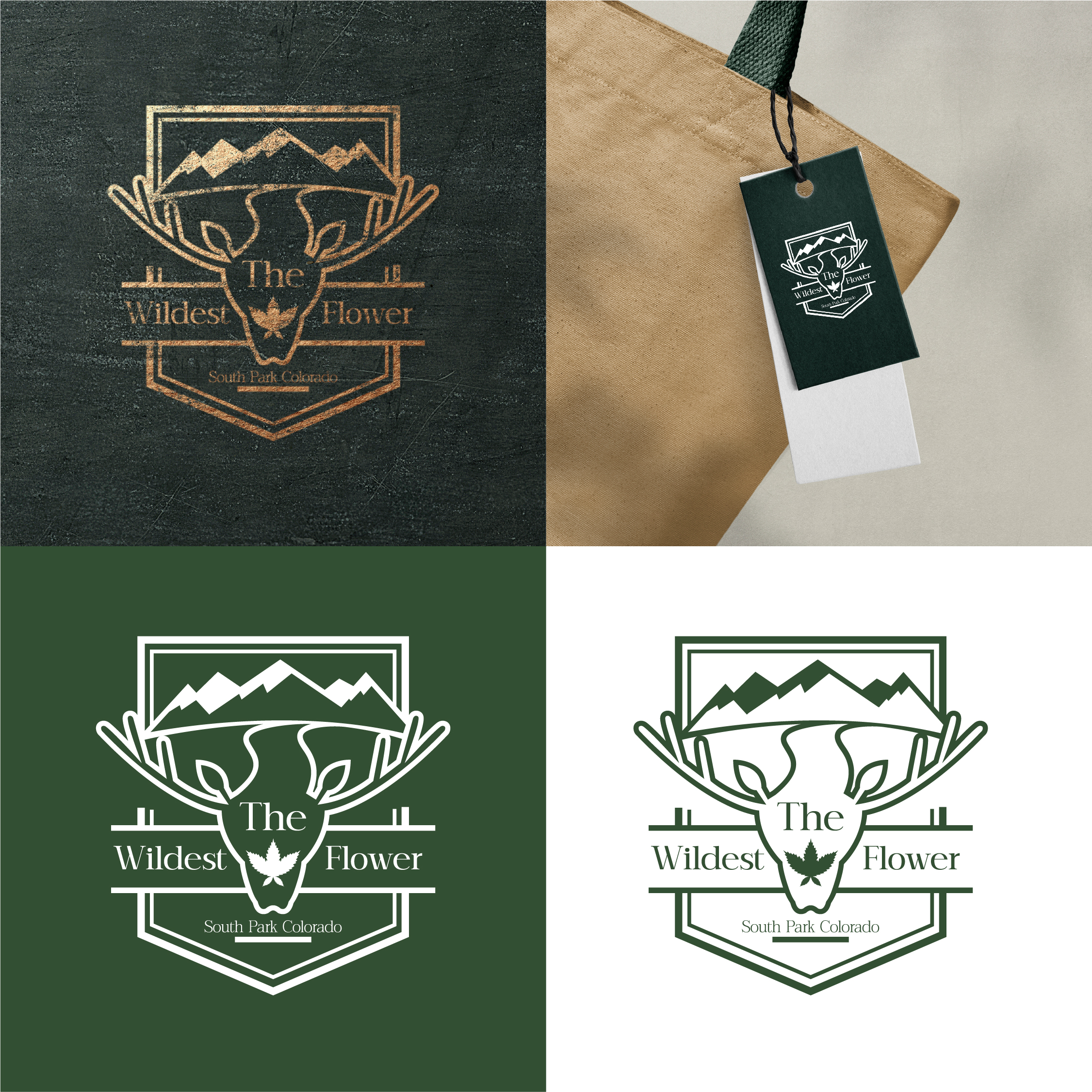 Logo Design by Geovanna Vera L. for this project | Design #30510018