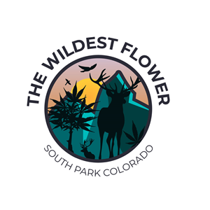 Logo Design by Wahab Arif