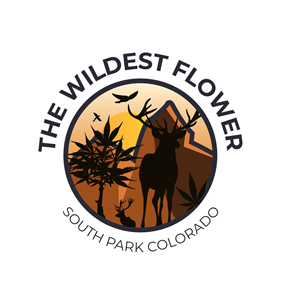 Logo Design by Wahab Arif for this project | Design: #30530374