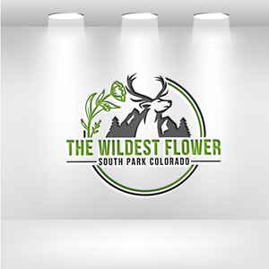 Logo Design by logo serve for this project | Design: #30515299