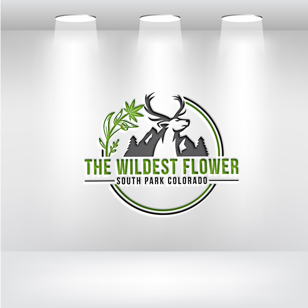 Logo Design by logo serve for this project | Design #30515437